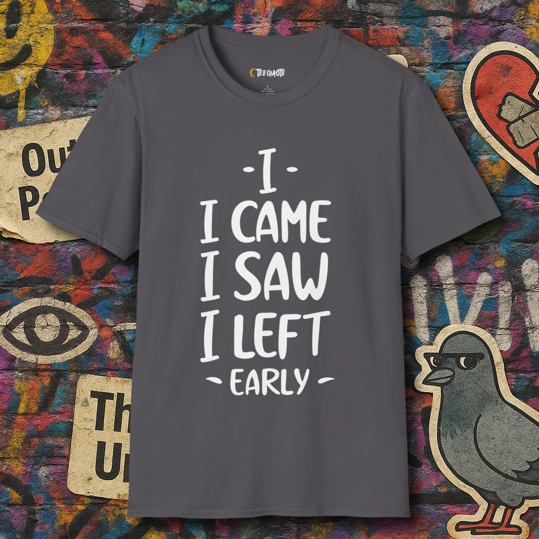 I came I left