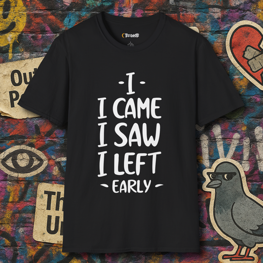 I came I left