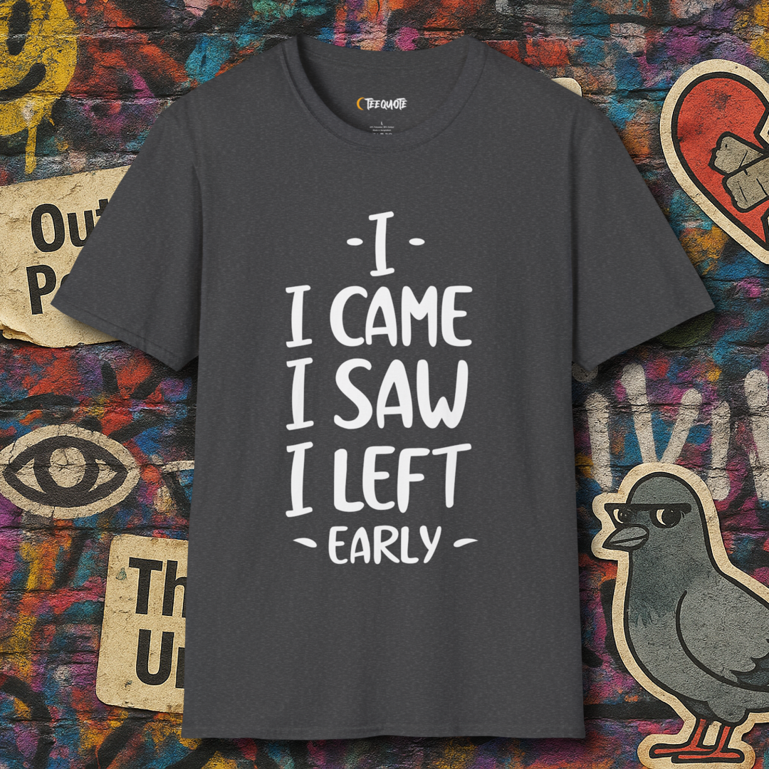 I came I left