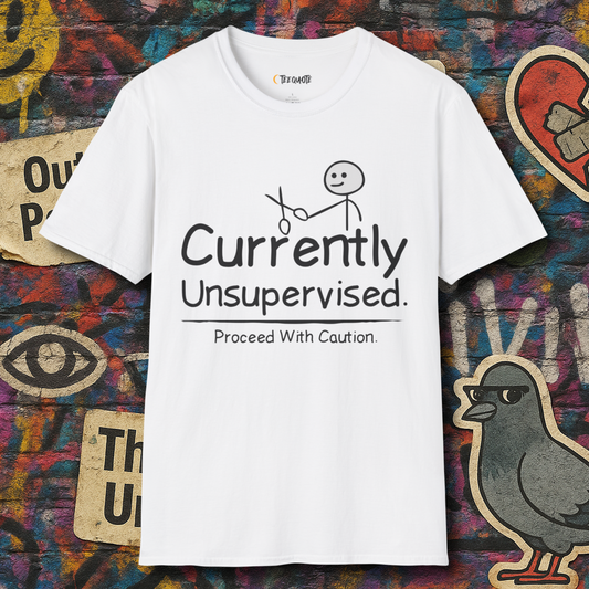 Currently Unsupervised